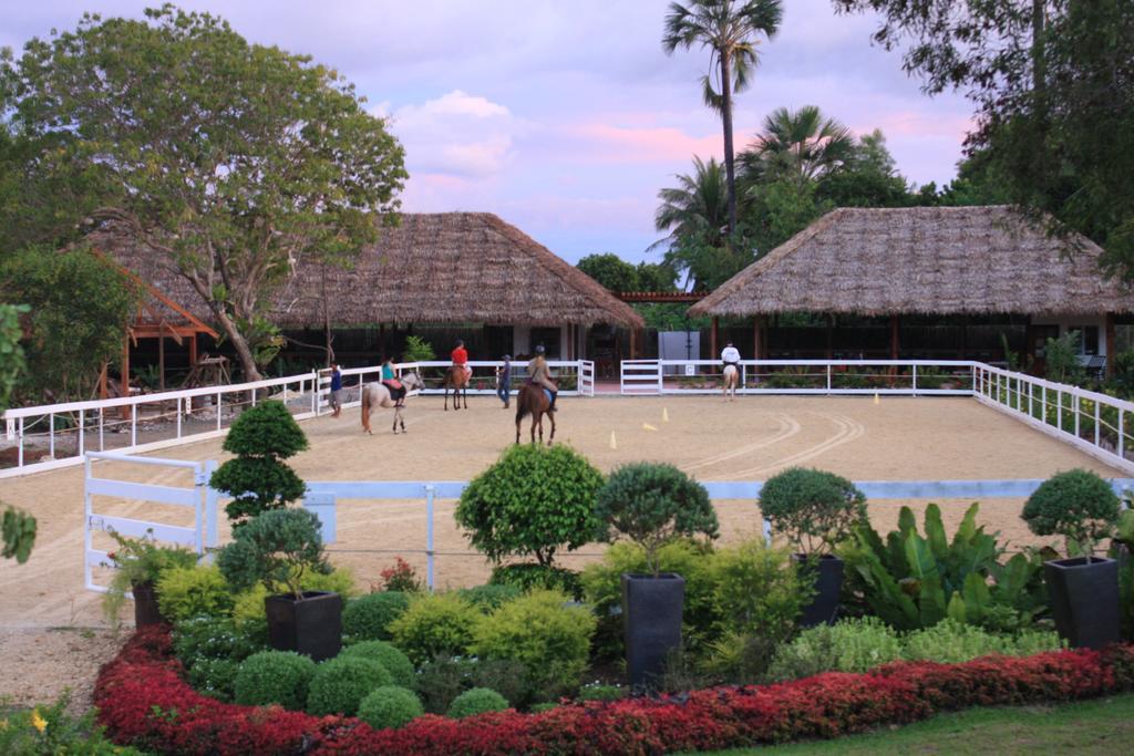 Donatela Resort And Sanctuary Đảo Đảo Panglao Ngoại thất bức ảnh